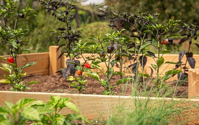 Arbeitstreffen zum Gemeinschaftsgarten